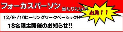 12月ベーシック限定申込